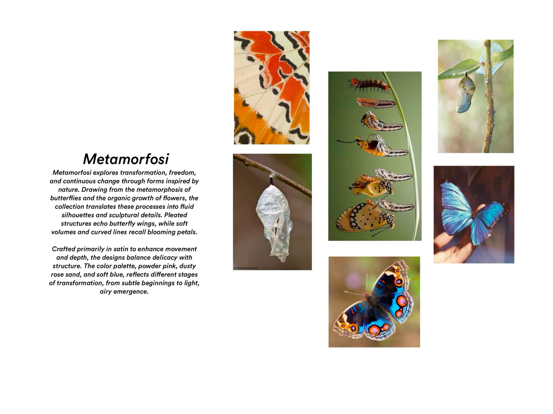 Portfolio page 50